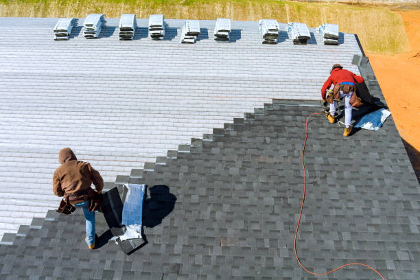 Best Metal Roofing Contractor  in North Shore, CA